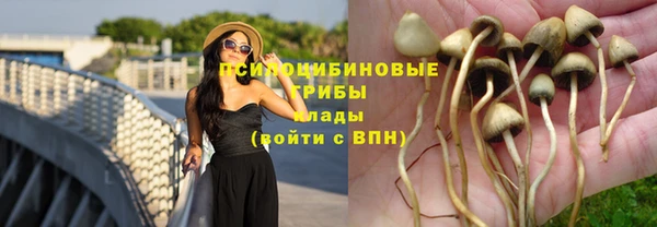 соль ск Верхний Тагил