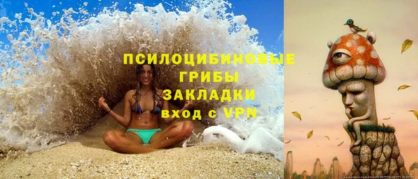 стаф Михайловка