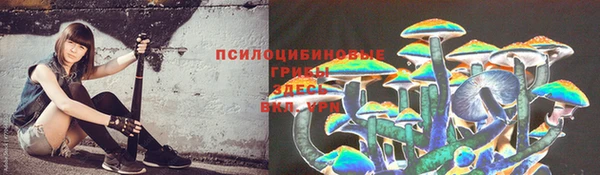 гидра Верея