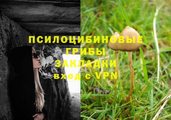 соль ск Верхний Тагил